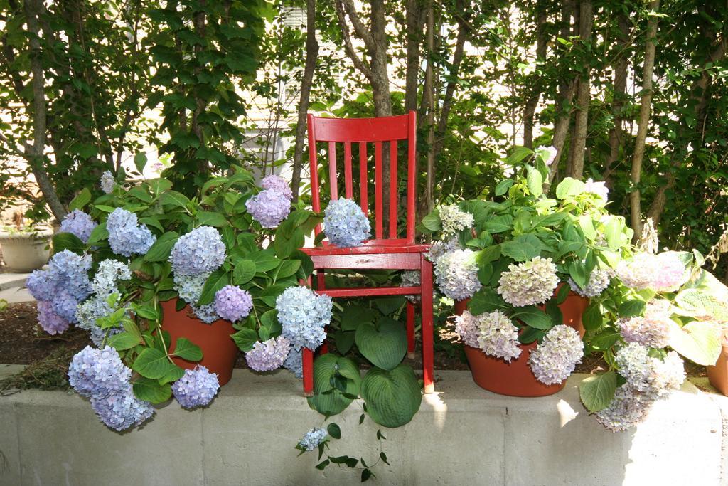 Hydrangea House Inn Newport Exterior foto