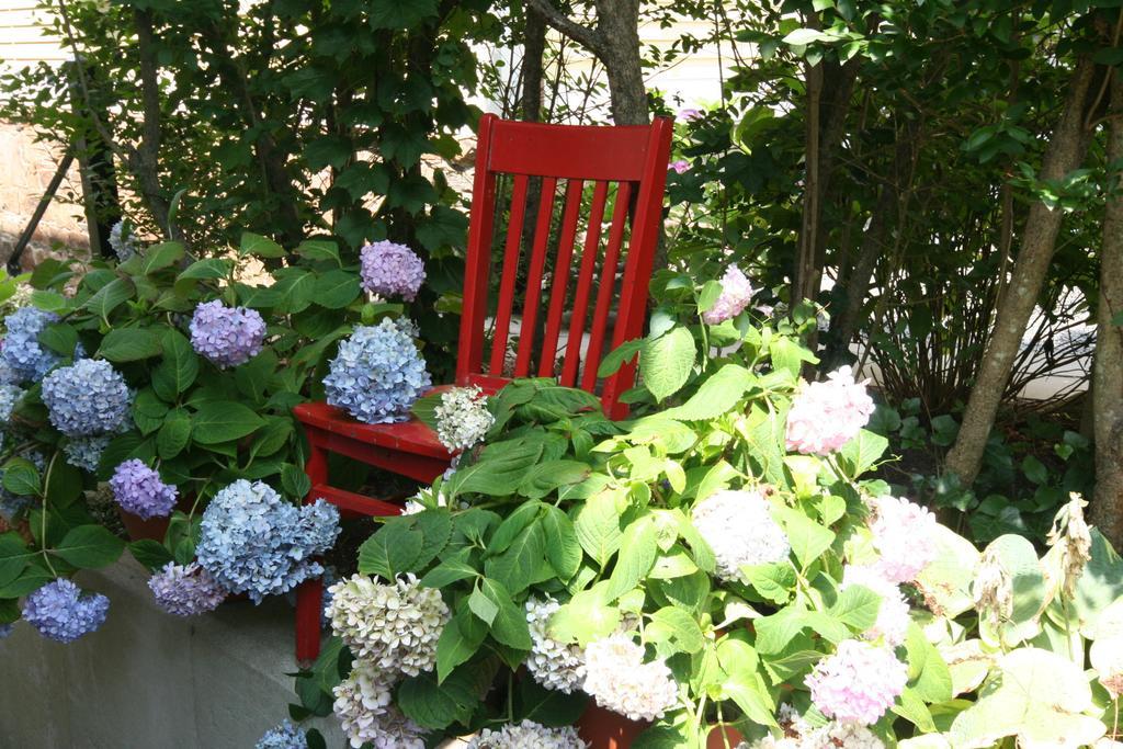 Hydrangea House Inn Newport Exterior foto